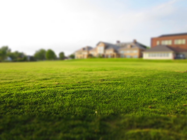 Przepis na zielony trawnik